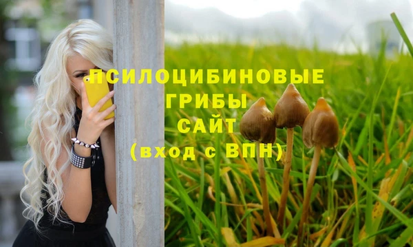 трава Арсеньев