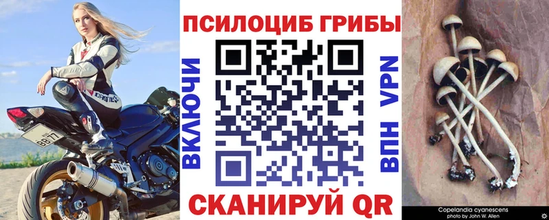 Псилоцибиновые грибы мухоморы  Долгопрудный 